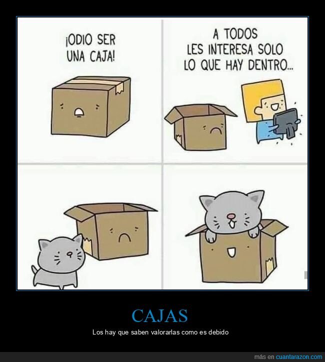 caja,gato