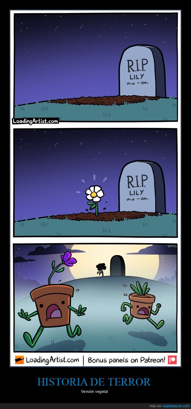 tumba,flor,plantas