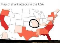 Enlace a Mapa de ataque de tiburones en EEUU