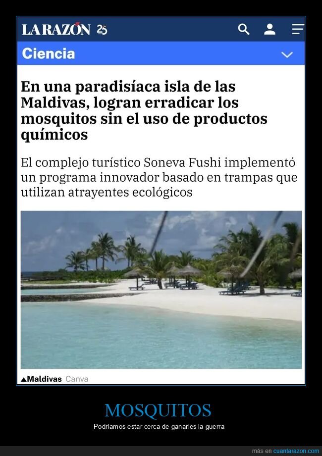 mosquitos,maldivas,erradicar