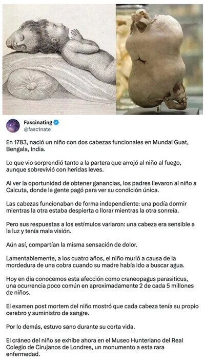 LA VERDAD DE NIKE