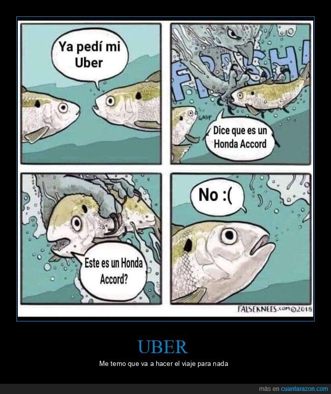 peces,águila,uber