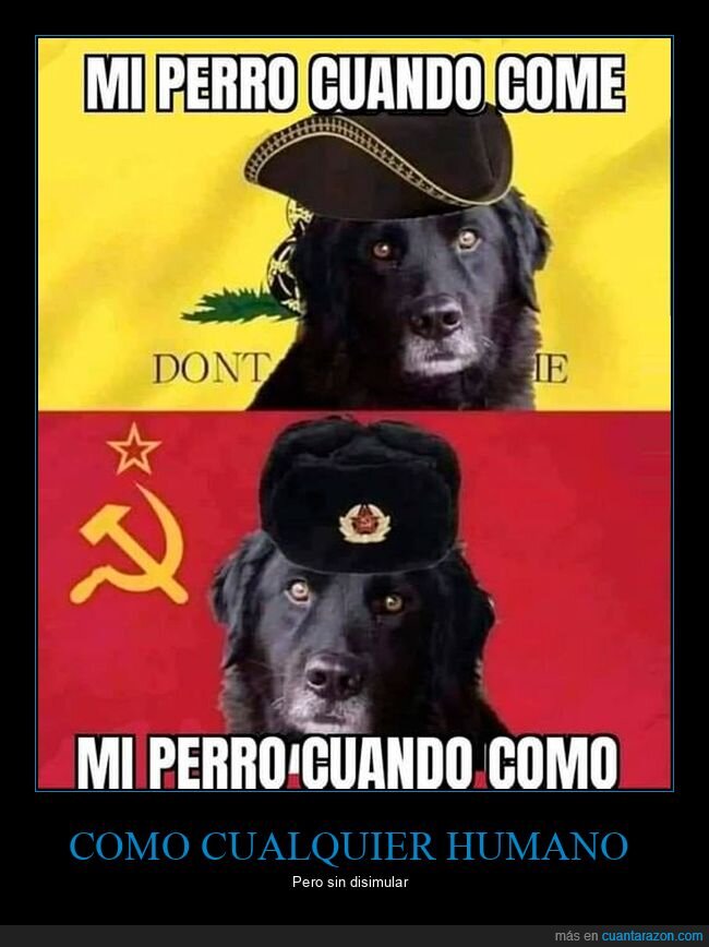 perros,comer,libertario,comunista
