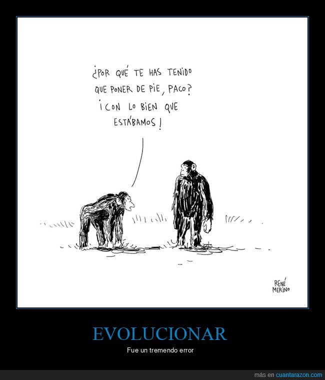monos,de pie,evolución