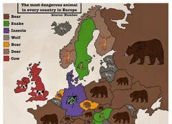 Enlace a Los animales más peligrosos de cada país de Europa