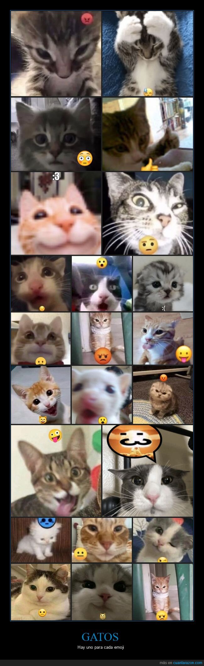 gatos,emojis