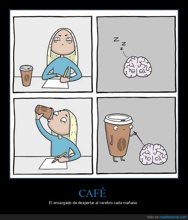 café,cerebro,despertar