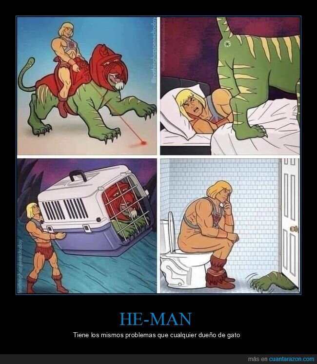 he-man,gato