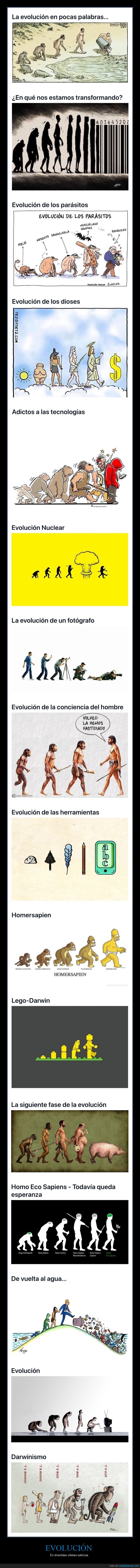 evolución,viñetas