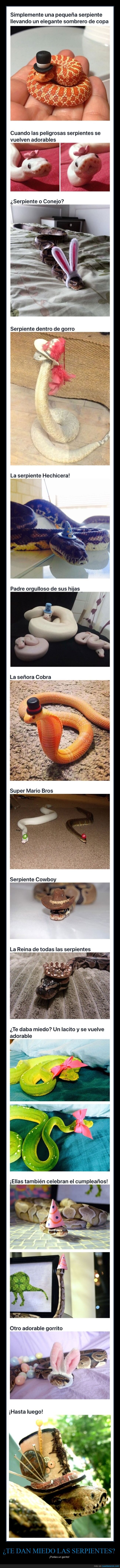serpientes,sombreros