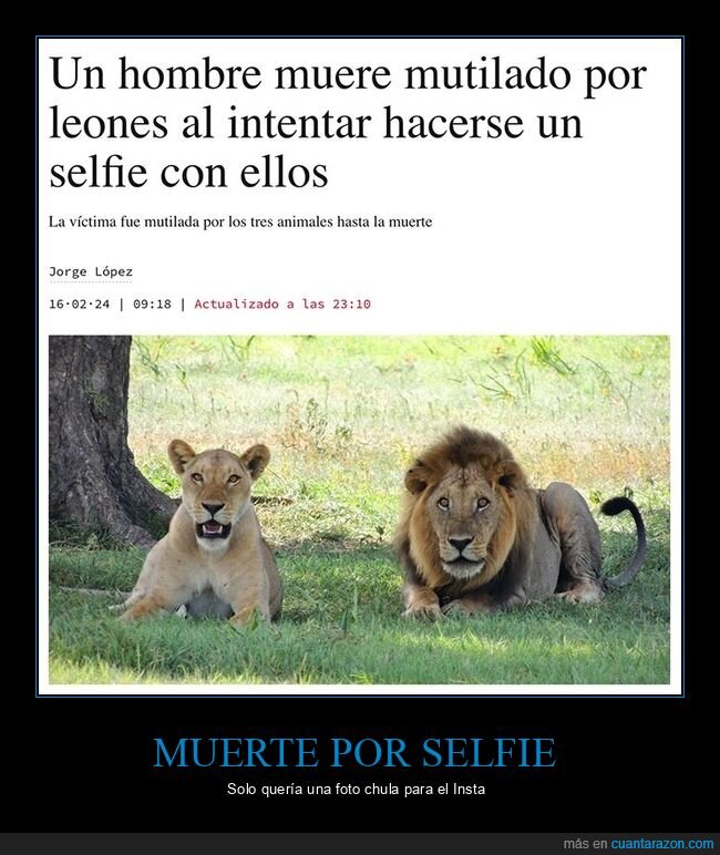 leones,muerte,selfie