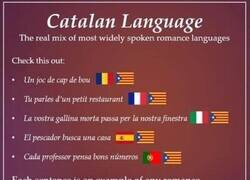 Enlace a El catalán es una lengua curiosa...