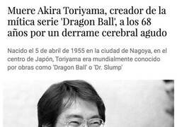 Enlace a DEP Akira Toriyama