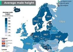 Enlace a Estatura promedo masculina en cada país