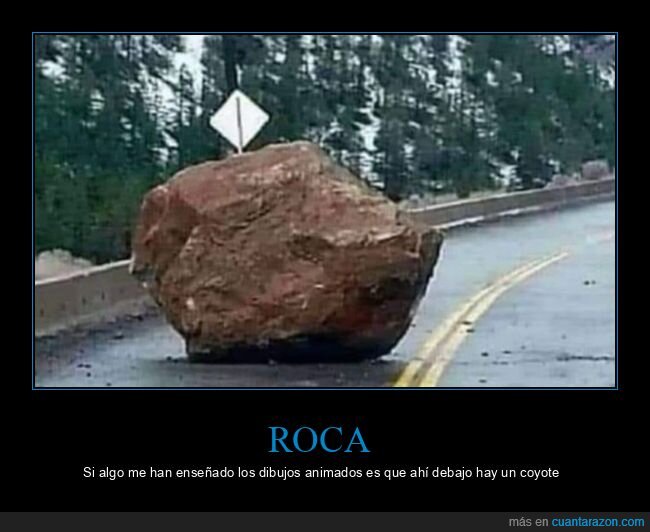 roca,carretera,coyote