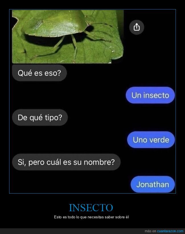 insecto,nombre,jonathan