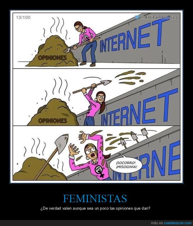 feminista,opiniones,internet