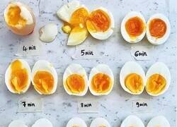 Enlace a Guía para preparar huevos cocidos