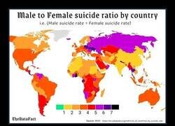 Enlace a Distribución de las tasas de suicidio masculino en el mundo