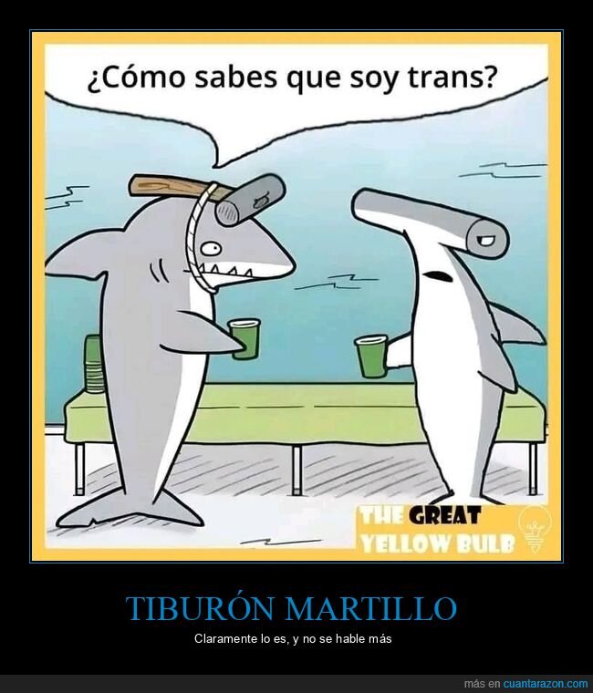 trans,tiburón,tiburón martillo