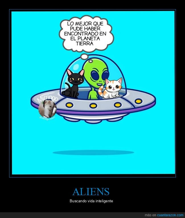 aliens,gatos,tierra