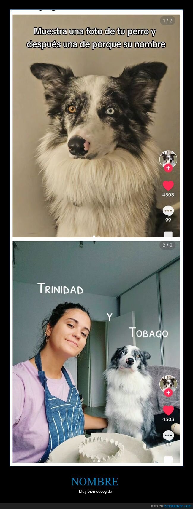 perro,nombre,trinidad y tobago