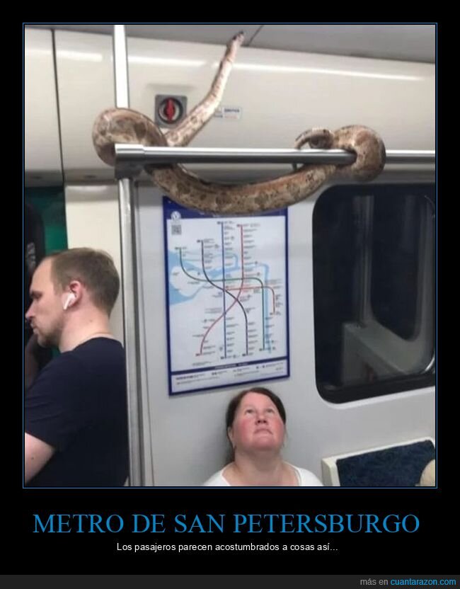 metro,rusos,serpiente,wtf