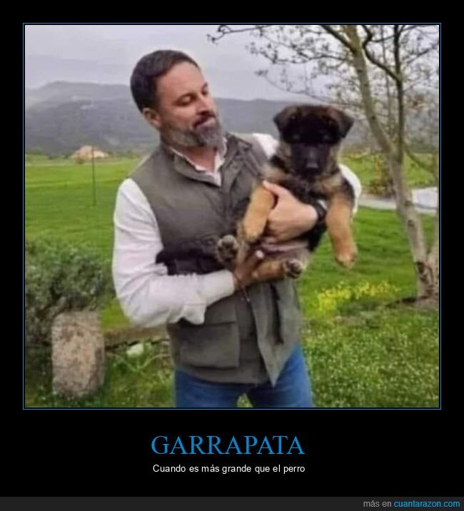 santiago abascal,perro,políticos