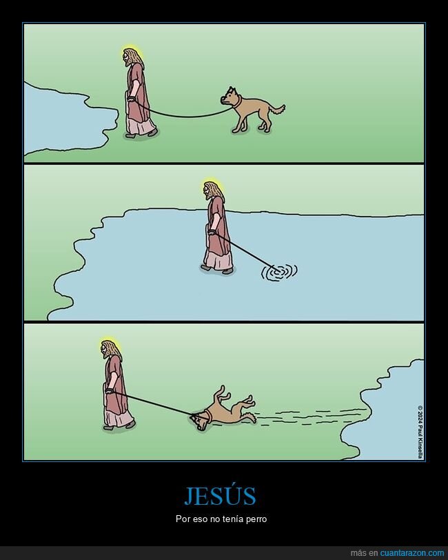 agua,jesús,perros