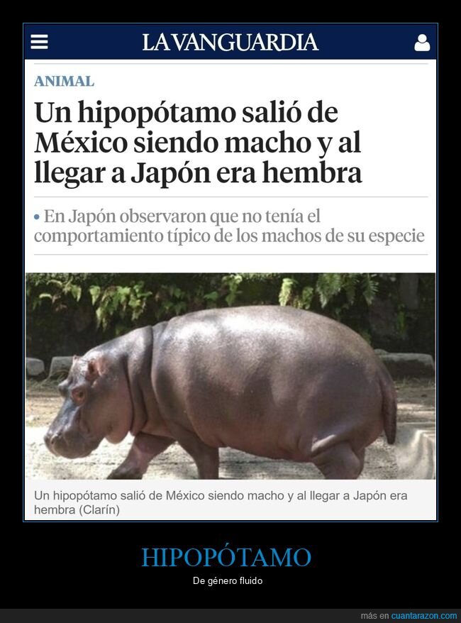 hipopótamo,macho,hembra,méxico,japón