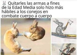 Enlace a Cuidado con los conejos medievales