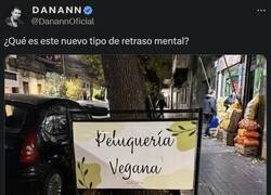 Enlace a ¿Peluquería vegana?