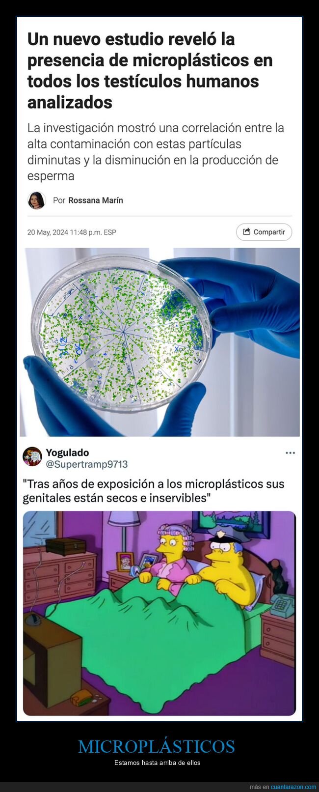 microplásticos,testículos