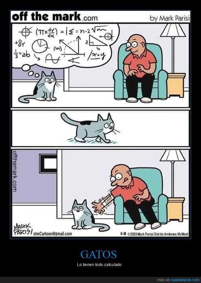 gato,calculando,distancia