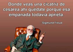 Enlace a Los consejos de Freud