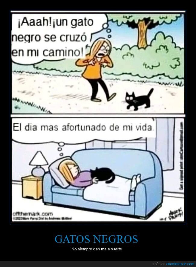 gato,negro,afortunado