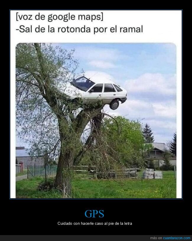 coches,árbol,gps