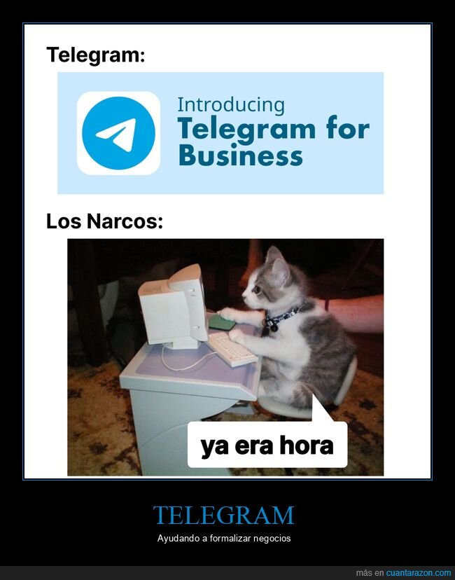 telegram,negocios,narcos