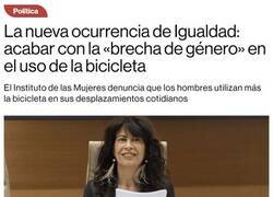 Enlace a La brecha de género en el uso de la bicicleta