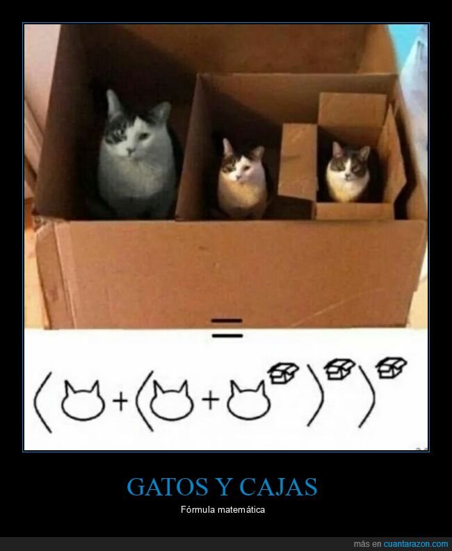 gatos,cajas,fórmula