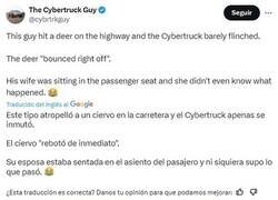 Enlace a Cybertruck VS Ciervo