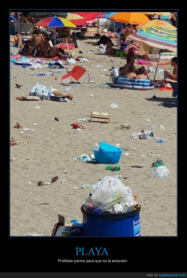 playa,basura