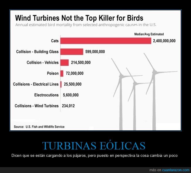 pájaros,muertes,turbinas eólicas