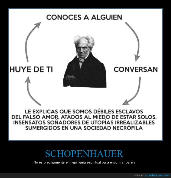 schopenhauer,conocer,huir