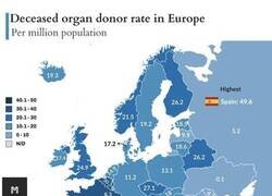 Enlace a ¿Por qué en España somos los mayores donantes de órganos?