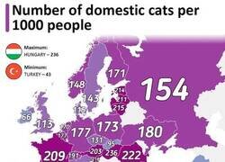 Enlace a Cantidad de gatos domésticos en cada país de Europa
