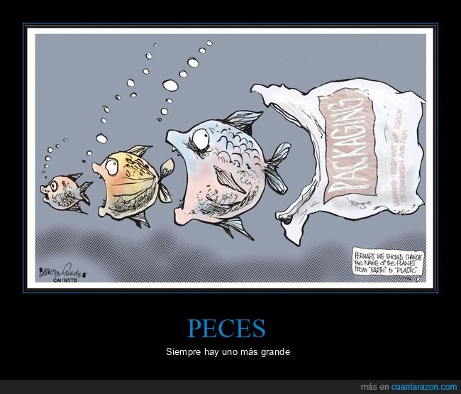 peces,comer,bolsa,plástico