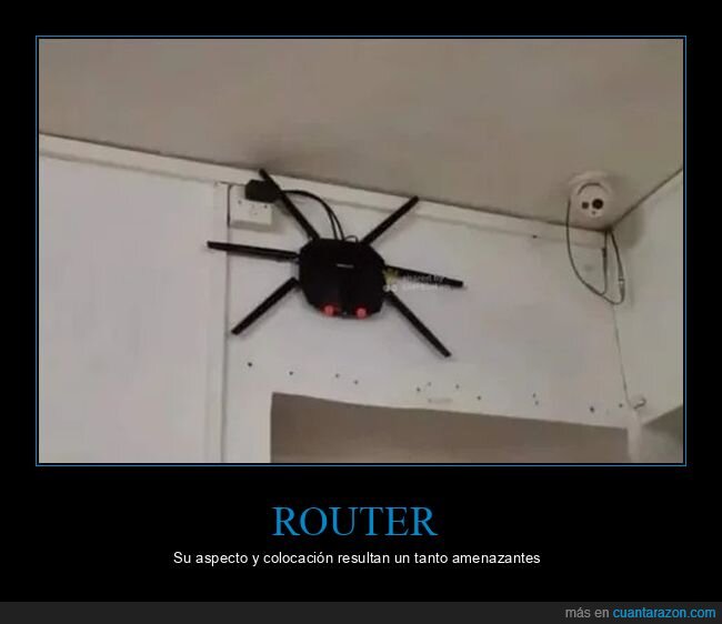 router,araña