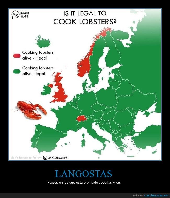 langostas,países,prohibido,cocer,vivas