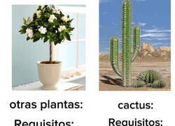 Enlace a Requisitos vegetales